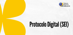 O Protocolo Digital é um serviço destinado ao cidadão, exclusivamente para protocolar pedido, en...
