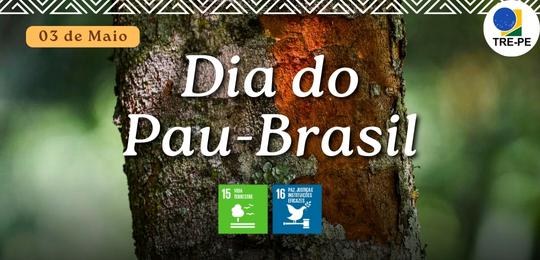 Dia do Pau-Brasil AGS lembra a data ressaltando os Objetivos de Desenvolvimento Sustentável da ONU