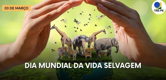 Dia Mundial da Vida Selvagem Foto com Girafas, elefantes e outros animais