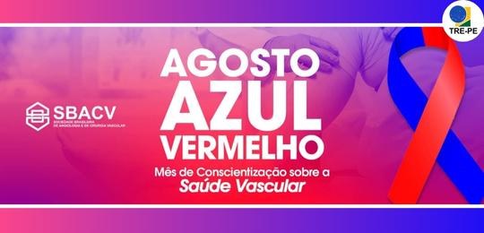 Dia Nacional da Consciência Vascular