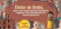 O prazo de conclusão dos trabalhos biométricos no município encerra dentro de poucos meses e mai...