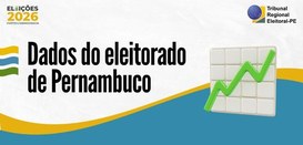Levantamento do TSE mostra o perfil do eleitorado pernambucano por gênero, idade, escolaridade e...