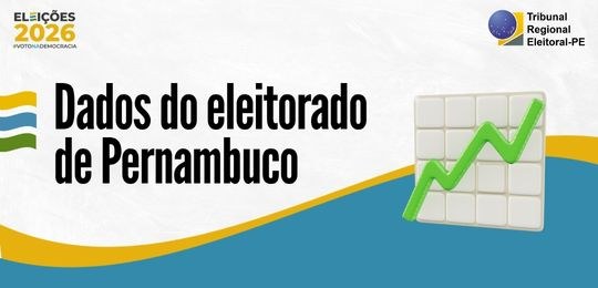 Levantamento do TSE mostra o perfil do eleitorado pernambucano por gênero, idade, escolaridade e...