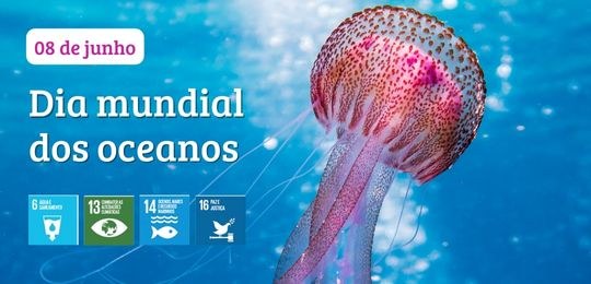 8 de junho: dia mundial dos oceanos Assistência de Gestão Socioambiental do TRE-PE lembra a data