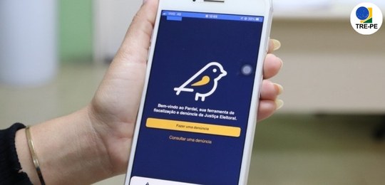 Pardal está no ar: aplicativo permite denunciar irregularidades de campanha