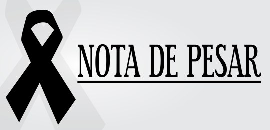 Pleno do TRE-PE aprova voto de pesar pela morte do desembargador Luíz Belém de Alencar