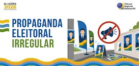 Fiscalização recolheu ainda dois contêineres totalmente adesivados, o que proibido pela legislaç...