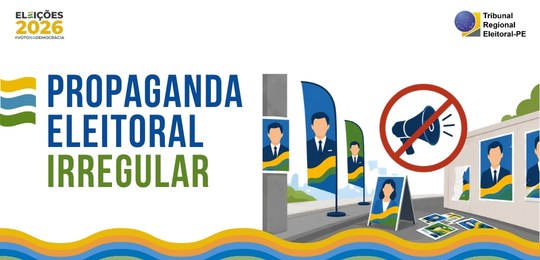 Fiscalização recolheu ainda dois contêineres totalmente adesivados, o que proibido pela legislaç...