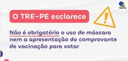 Uso é não é obrigatório nas seções eleitorais