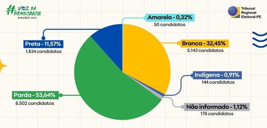 TRE-PE Perfil dos candidatos às Eleições 2024 - Cor e Raça
